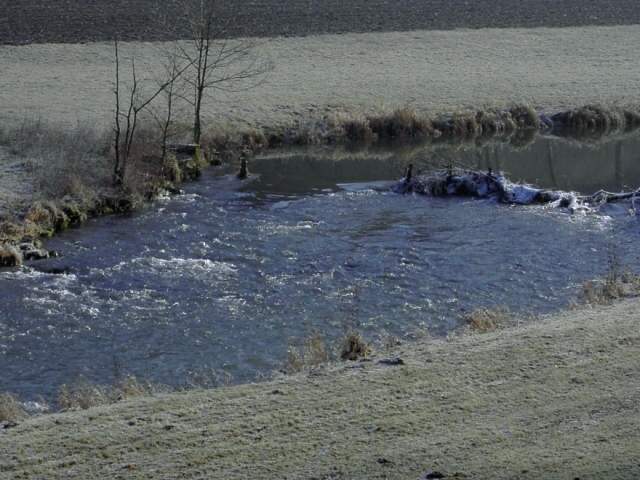 Die Wiesent im Winter: Wanderung an der Wiesent (Bild 66005)