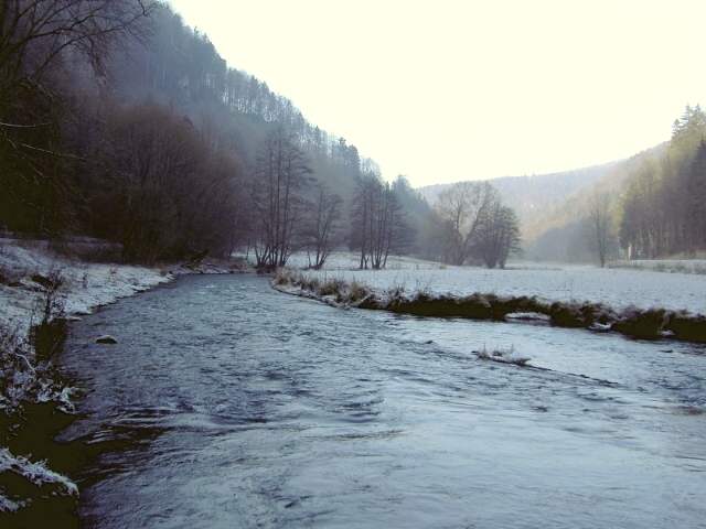 Die Wiesent im Winter: Wanderung an der Wiesent (Bild 66006)