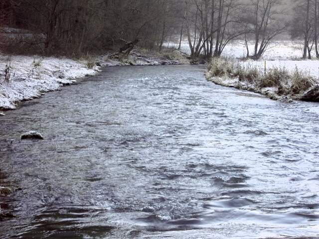 Die Wiesent im Winter: Wanderung an der Wiesent (Bild 66007)