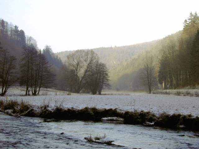 Die Wiesent im Winter: Wanderung an der Wiesent (Bild 66008)