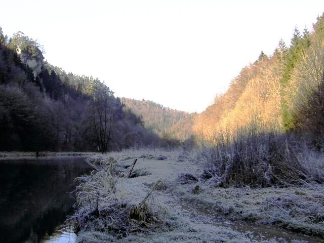 Die Wiesent im Winter: Wanderung an der Wiesent (Bild 66011)