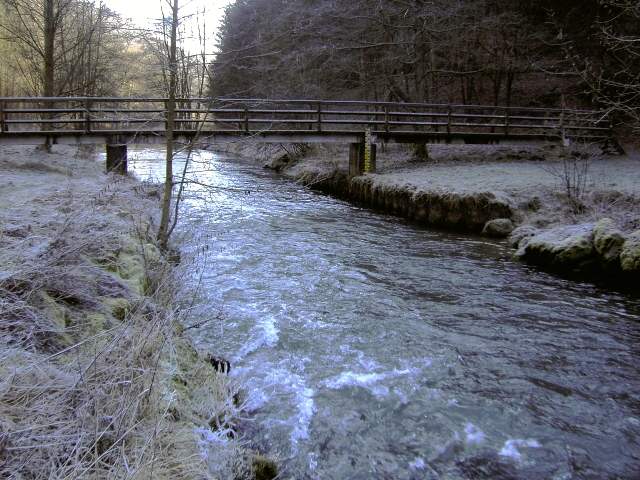 Die Wiesent im Winter: Wanderung an der Wiesent (Bild 66012)