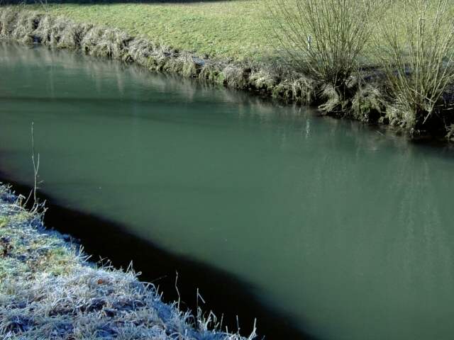 Die Wiesent im Winter: Wanderung an der Wiesent (Bild 66014)