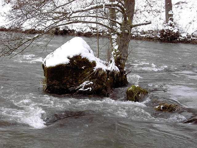 Die Wiesent im Winter: Wanderung an der Wiesent (Bild 66023)