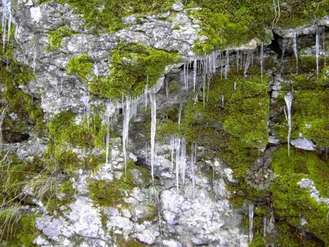 Die Wiesent im Winter: Wanderung an der Wiesent (Bild 66025)