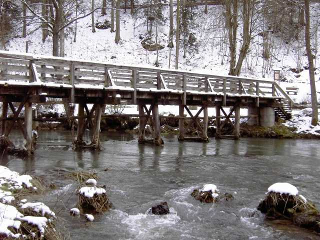 Die Wiesent im Winter: Wanderung an der Wiesent (Bild 66026)