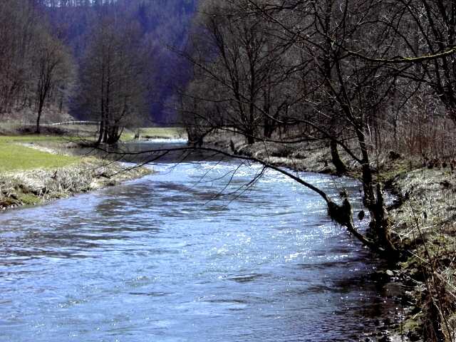 Die Wiesent im Winter: Wanderung an der Wiesent (Bild 66027)