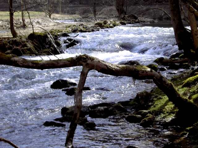 Die Wiesent im Winter: Wanderung an der Wiesent (Bild 66028)