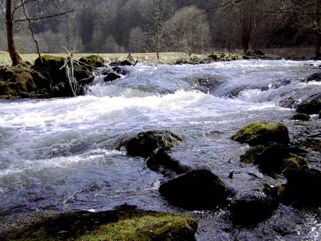 Die Wiesent im Winter: Wanderung an der Wiesent (Bild 66029)