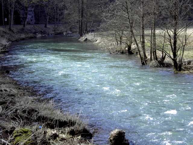 Die Wiesent im Winter: Wanderung an der Wiesent (Bild 66031)