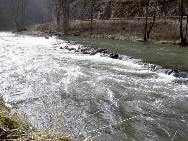 Die Wiesent im Winter: Wanderung an der Wiesent (Bild 66032)