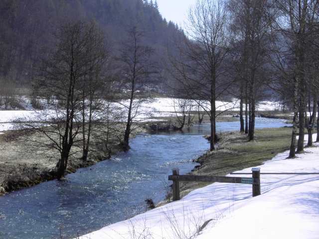 Die Wiesent im Winter: Wanderung an der Wiesent (Bild 66034)