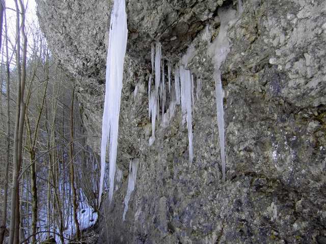 Die Wiesent im Winter: Wanderung an der Wiesent (Bild 66036)