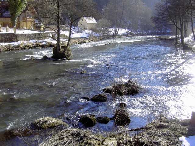 Die Wiesent im Winter: Wanderung an der Wiesent (Bild 66039)