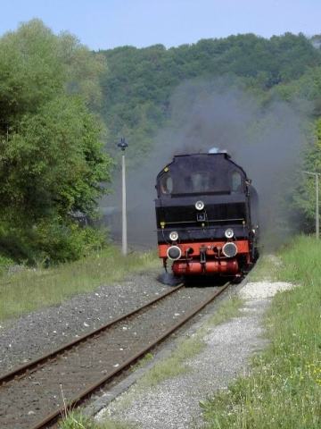 Dampfbahn Fränkische Schweiz: Zug der DFS bei der Einfahrt in den Bahnhof Muggendorf (Bild 71013)