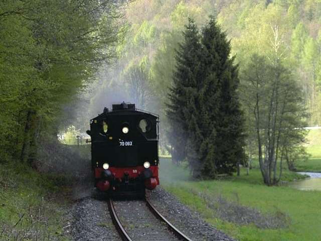 DFS-Saison-Auftakt am 01.05.2005: Dampflok 70083 des BLV im Wiesenttal (Bild 73023)