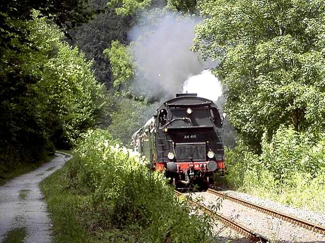 DFS-Lokalbahnfest am 16.07.2006: Zug der DFS bei der Fahrt Wiesent-aufwrts (Bild 74007)