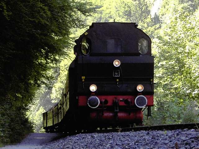 DFS-Lokalbahnfest am 16.07.2006: Zug der DFS kurz vor der Hindenburgbrcke (Bild 74009)