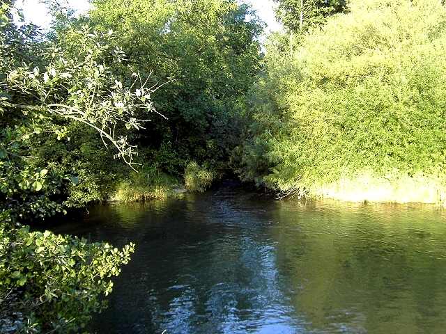 Wandern an der Trubach: Mndung der Trubach in die Wiesent (Bild 81002)