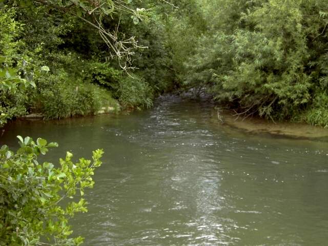 Wandern an der Trubach: Mndung der Trubach in die Wiesent (Bild 81003)