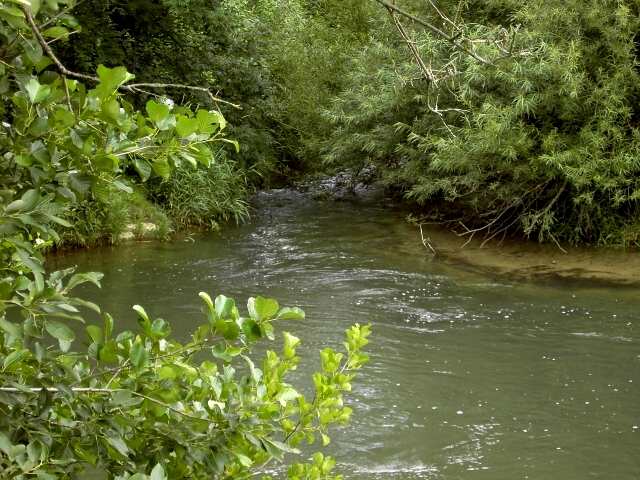 Wandern an der Trubach: Mndung der Trubach in die Wiesent (Bild 81004)