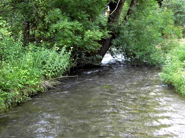 Wandern an der Trubach: Die Trubach in Pretzfeld (Bild 81015)