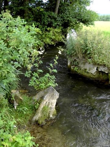 Wandern an der Trubach: Die Trubach zwischen Pretzfeld und Hagenbach (Bild 81021)