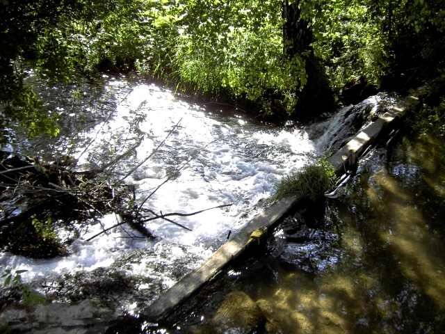 Wandern an der Trubach: Die Trubach zwischen Hagenbach und Wannbach (Bild 81032)