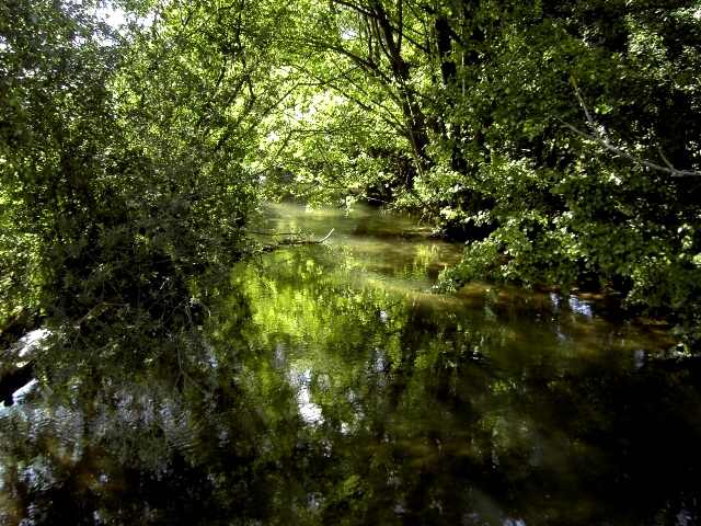 Wandern an der Trubach: Die Trubach zwischen Hagenbach und Wannbach (Bild 81033)