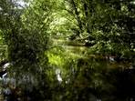 Die Trubach zwischen Hagenbach und Wannbach