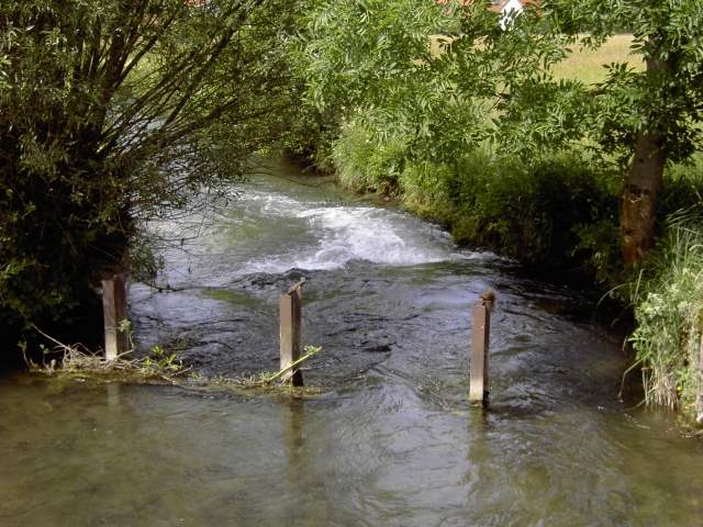 Wandern an der Trubach: Die Trubach zwischen Wannbach und Unterzaunsbach (Bild 81038)