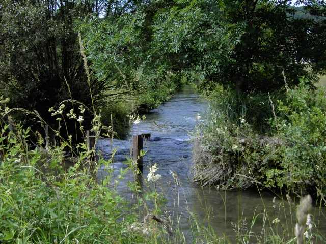 Wandern an der Trubach: Die Trubach zwischen Wannbach und Unterzaunsbach (Bild 81039)