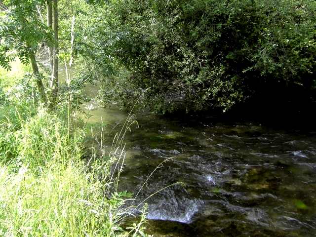 Wandern an der Trubach: Die Trubach zwischen Wannbach und Unterzaunsbach (Bild 81040)