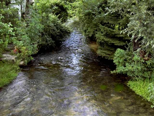 Wandern an der Trubach: Die Trubach in Unterzaunsbach (Bild 81043)