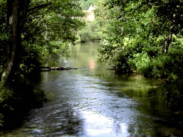 Wandern an der Trubach: Die Trubach in Unterzaunsbach (Bild 81044)