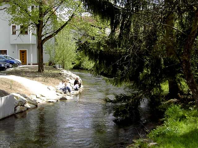 Wandern an der Trubach: Die Trubach in Unterzaunsbach (Bild 81047)