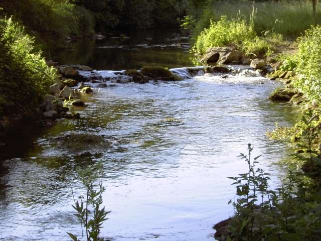 Wanderung an der Leinleiter: Die Leinleiter sdlich von Gasseldorf (Bild 82002)