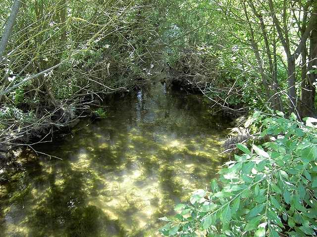 Wanderung an der Leinleiter: von Gasseldorf nach Unterleinleiter (Bild 82013)