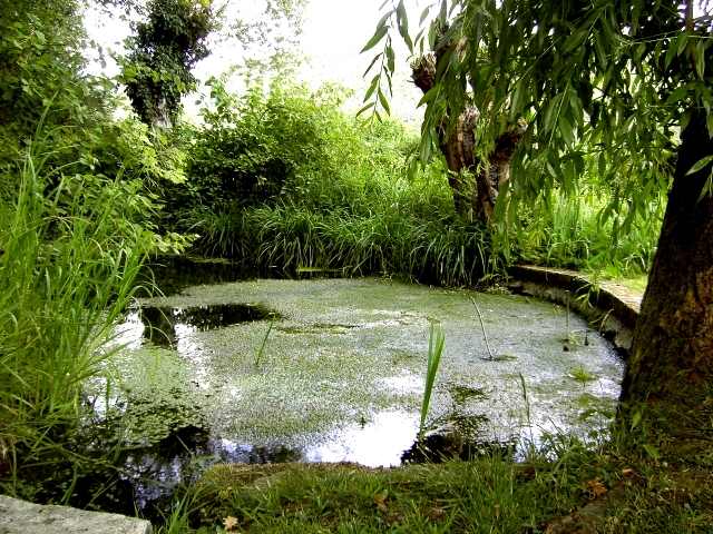 Wanderung an der Leinleiter: Schlopark Unterleinleiter (Bild 82034)