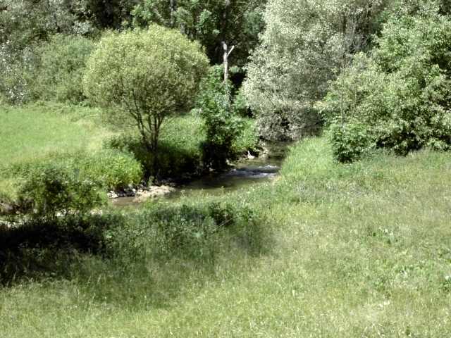 Wanderung an der Leinleiter: von Unterleinleiter nach Veilbronn (Bild 82037)