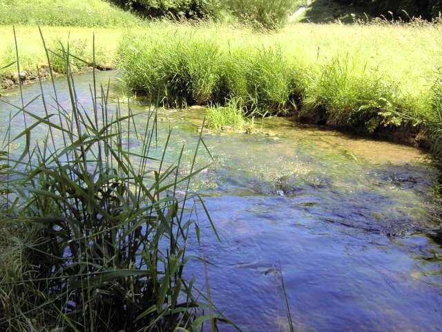 Wanderung an der Leinleiter: von Veilbronn nach Heiligenstadt (Bild 82040)