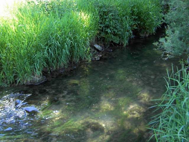 Wanderung an der Leinleiter: von Veilbronn nach Heiligenstadt (Bild 82041)