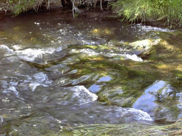 Wanderung an der Leinleiter: von Veilbronn nach Heiligenstadt (Bild 82042)