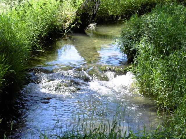 Wanderung an der Leinleiter: von Veilbronn nach Heiligenstadt (Bild 82043)