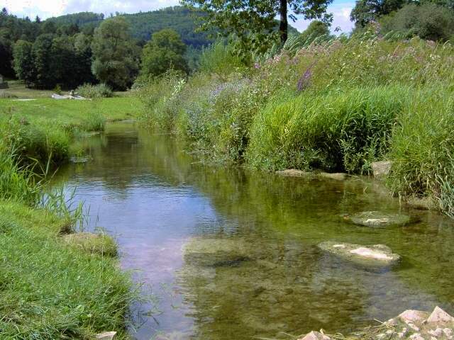 Wandern an der Leinleiter: Die Leinleiter nrdlich von Heiligenstadt (Bild 82079)