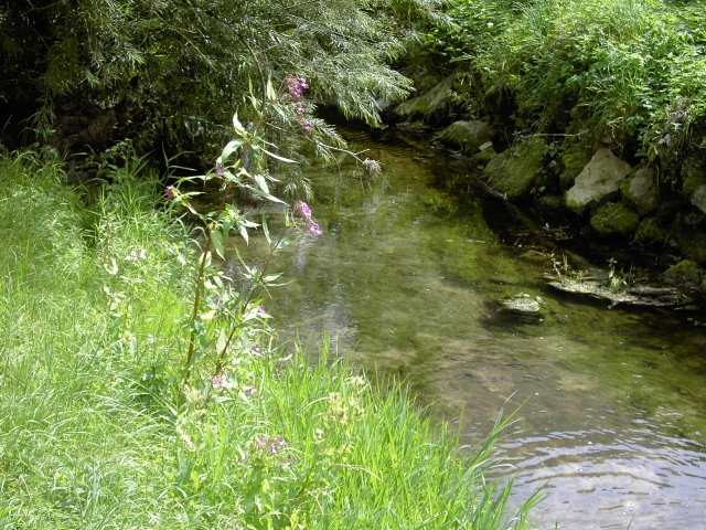 Wandern an der Leinleiter: Die Leinleiter in Zoggendorf (Bild 82083)