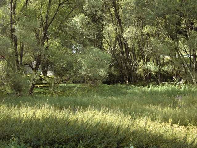 Wandern an der Leinleiter: Leinleitertal bei Burggrub (Bild 82087)