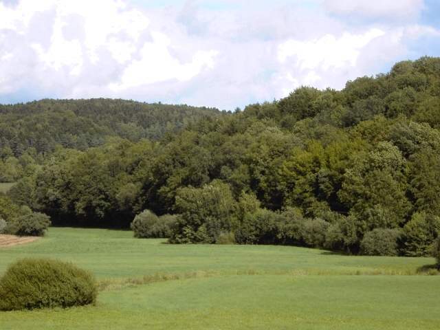 Wandern an der Leinleiter: Das Leinleitertal sdlich der Heroldsmhle (Bild 82096)