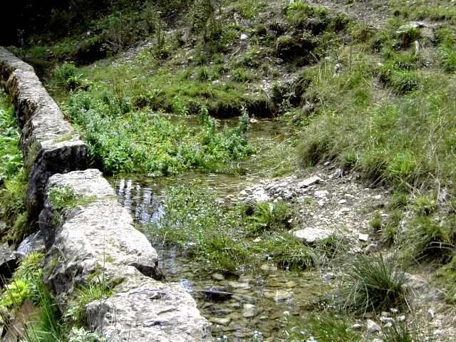 Wandern an der Leinleiter: Die Leinleiter-Quelle nrdlich der Heroldsmhle (Bild 82108)