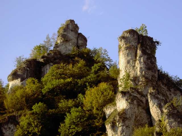 Die Felstürme in Tüchersfeld (Bild 83005)